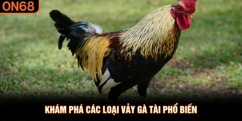 Khám phá các loại vảy gà tài phổ biến