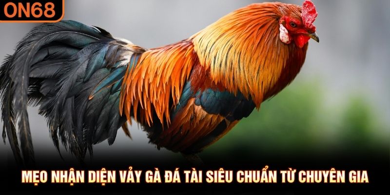 Mẹo nhận diện vảy gà đá tài siêu chuẩn từ chuyên gia