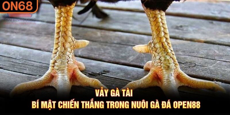 vảy gà tài